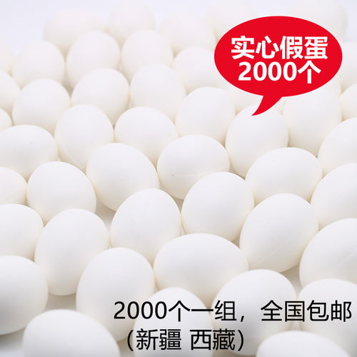 鸽具信鸽用品实心塑料鸽子蛋2000个一组批发产品展示